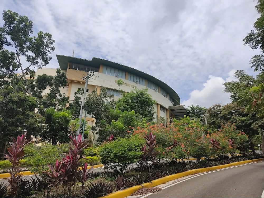 Cebu Council seeks DPWH funds for USC-Talamban pedestrian skywalk