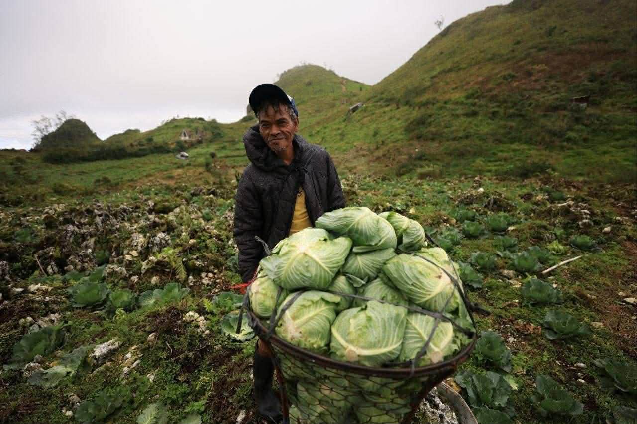 Photo Documentary Highlights Life of Farmers in Mantalongon, Cebu’s “Vegetable Basket”