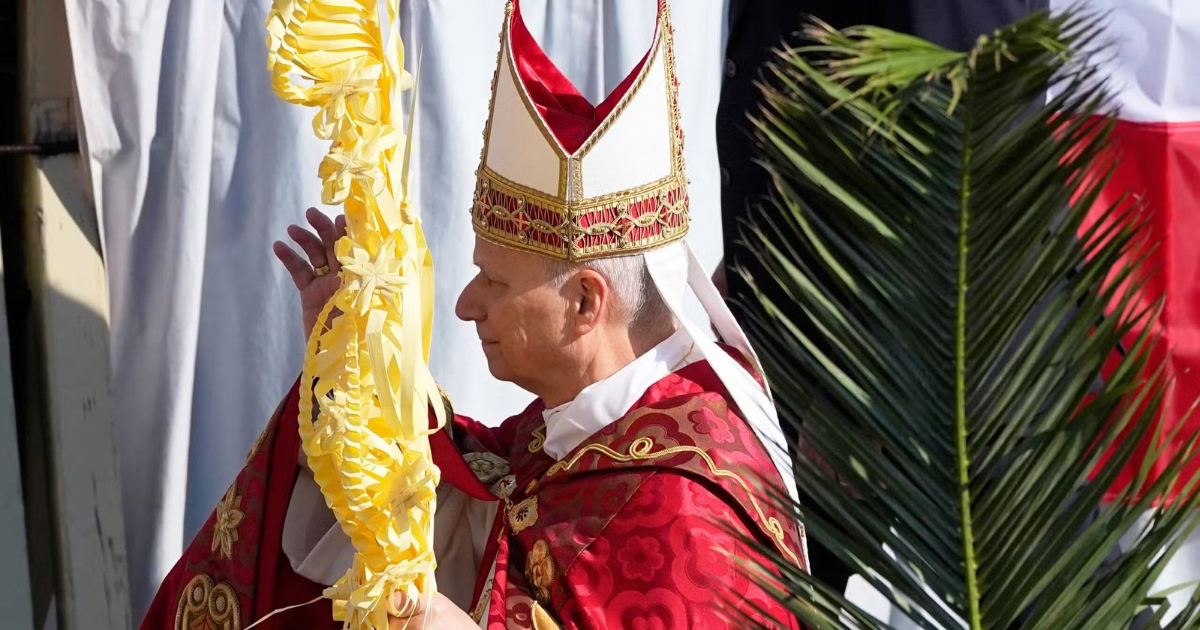 'No One Can Use Jesus to Justify War,' Says Pope Leo XIV on Palm Sunday