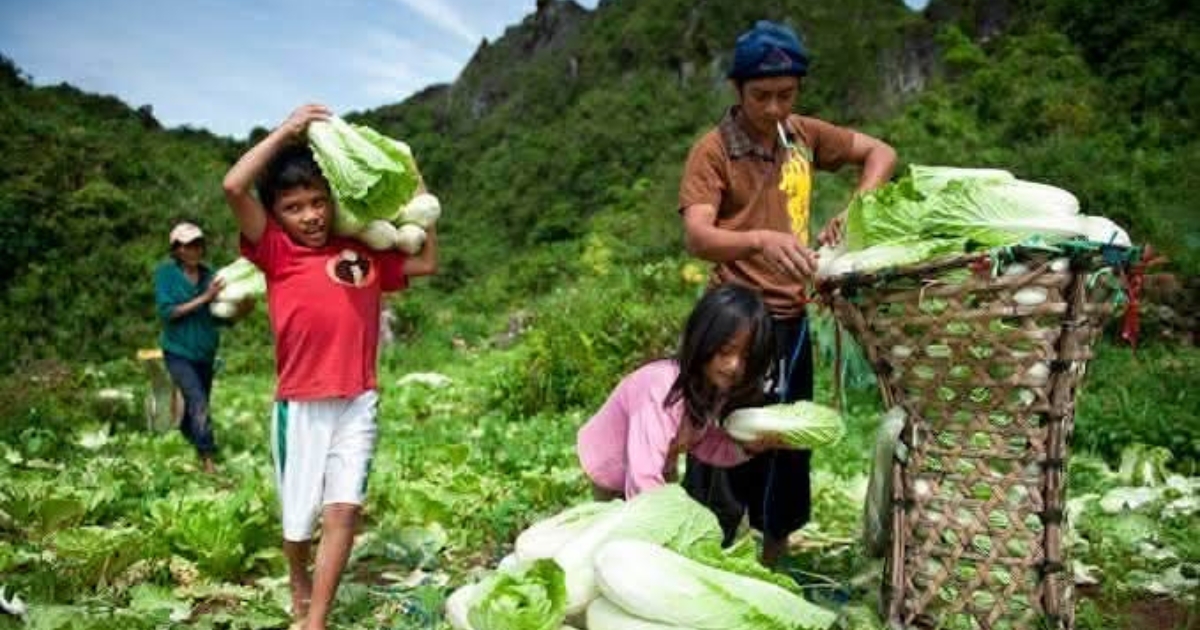 Archival Eyes Free Transport, Cash Aid for Struggling Upland Farmers