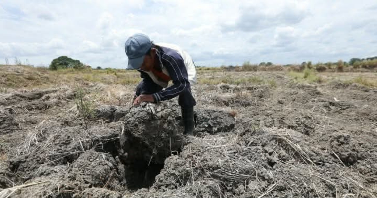 Cebu steps up preparations amid looming El Niño dry spell