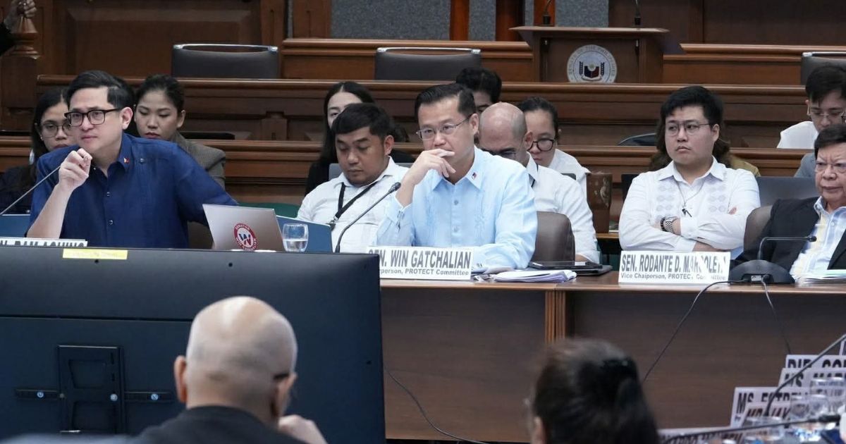 Senate flags rising power charges