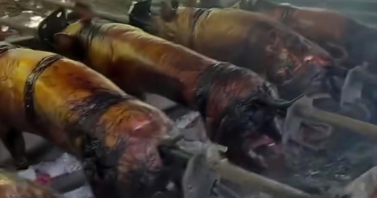Lechon vendor, gi-biyaan sa trabahante tungod sige'g pangasaba? 