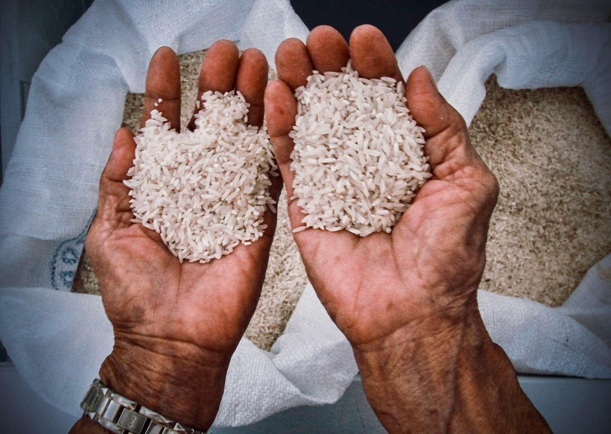 Rice retailers, traders warned vs. P50/kilo price ceiling violations