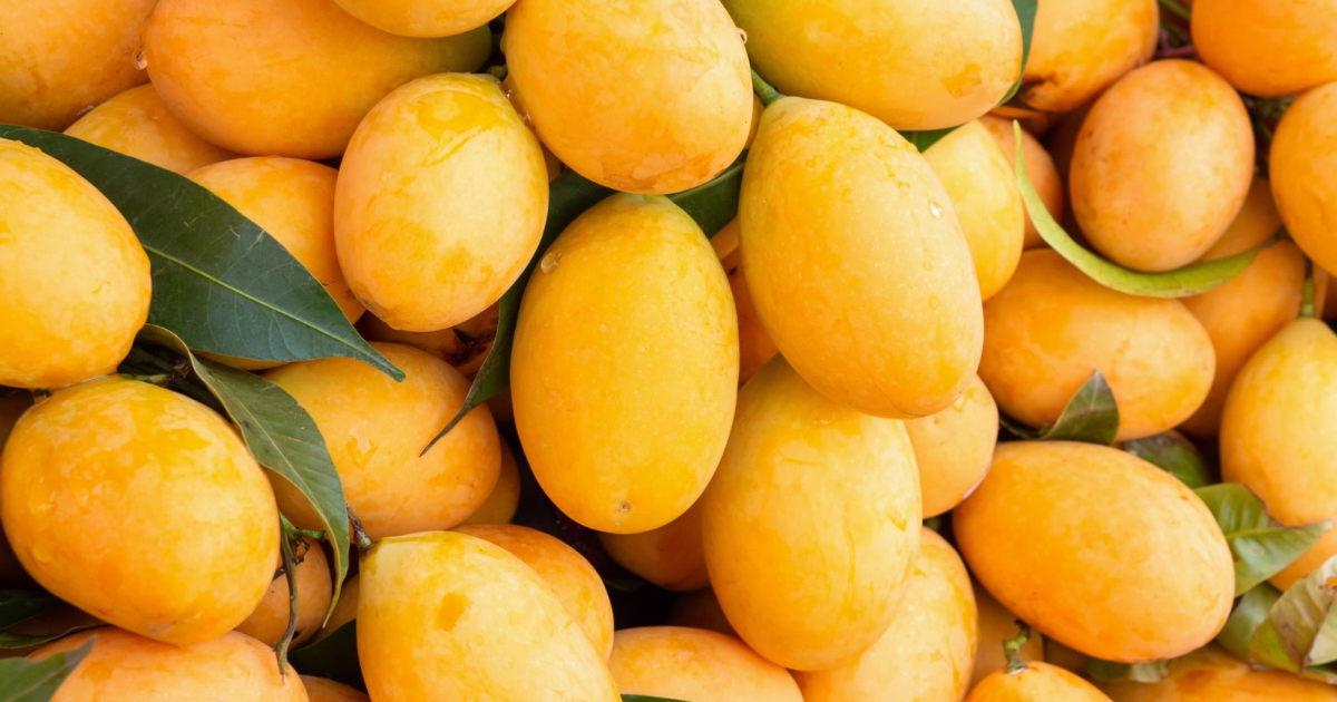 Guimaras mangoes now delivered straight to Cebu homes