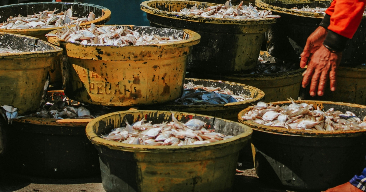 ₱2-Million Fishing Boat, Illegal Fishing Equipment Seized in Madridejos Operation
