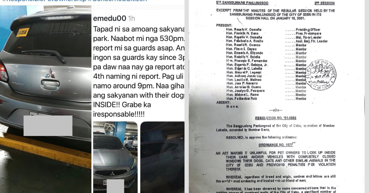 Cebu City DVMF Moves for Legal Action After Dogs Left Inside Parked Car Incident at SM Seaside