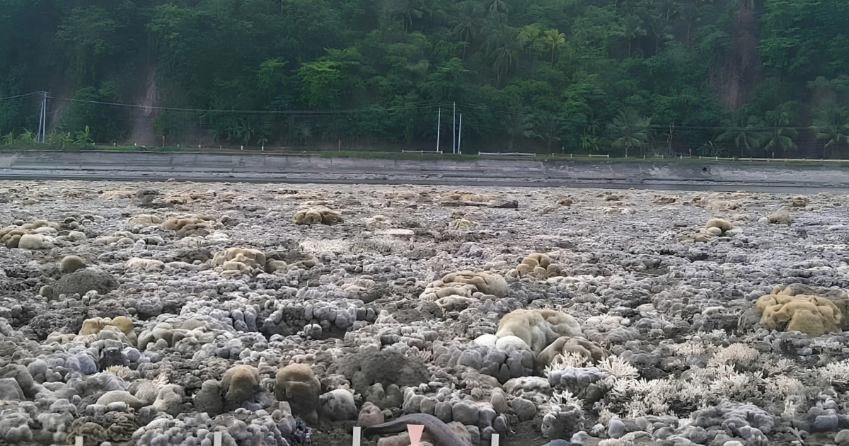 DENR to assess coastal uplift after earthquake reshapes Sarangani shoreline
