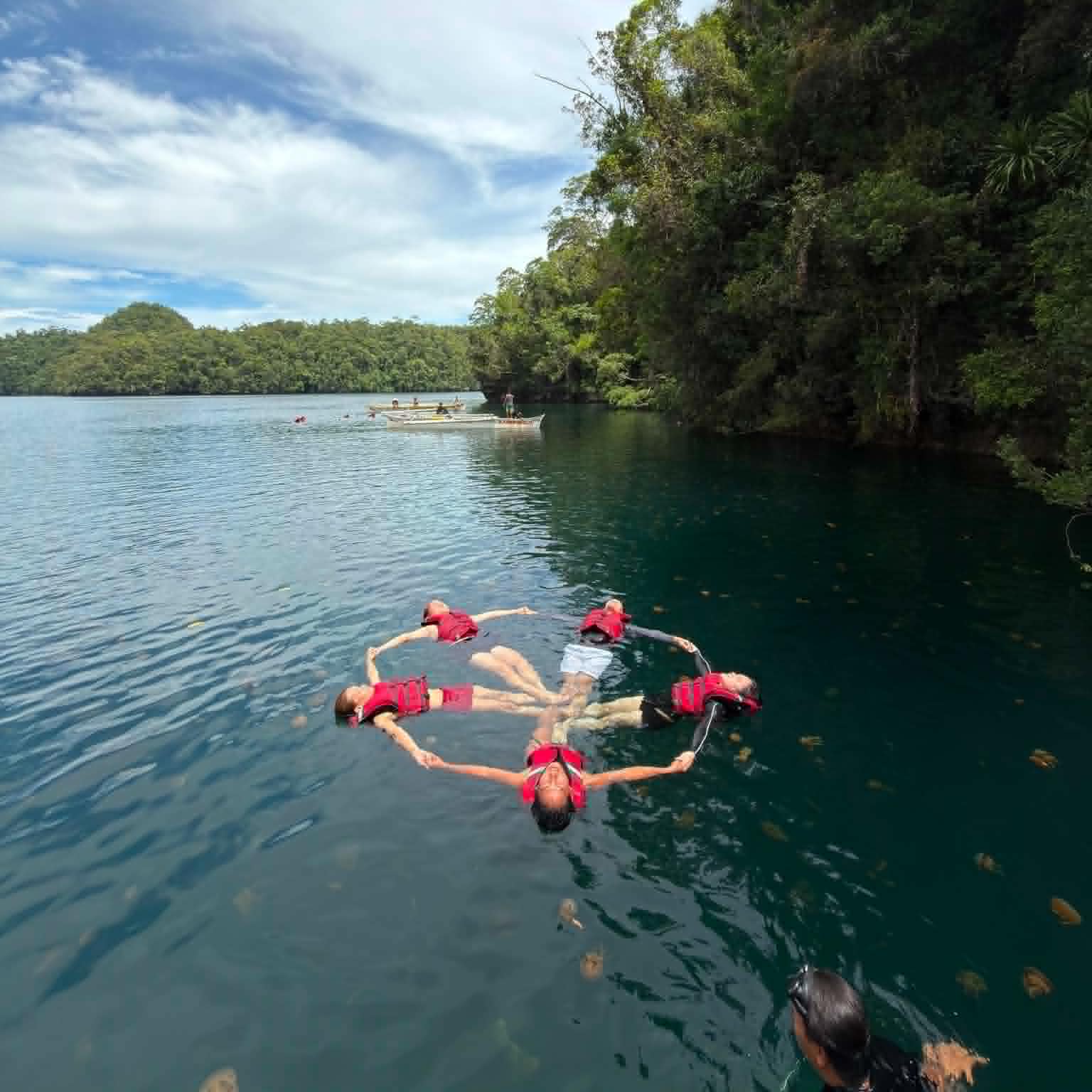 Sohoton Cove Offers Unforgettable Encounter With Stingless Jellyfish