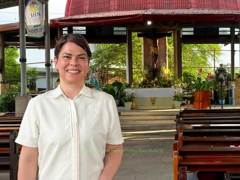Duterte's alleged hitman arrangement amounts to betrayal of public trust 