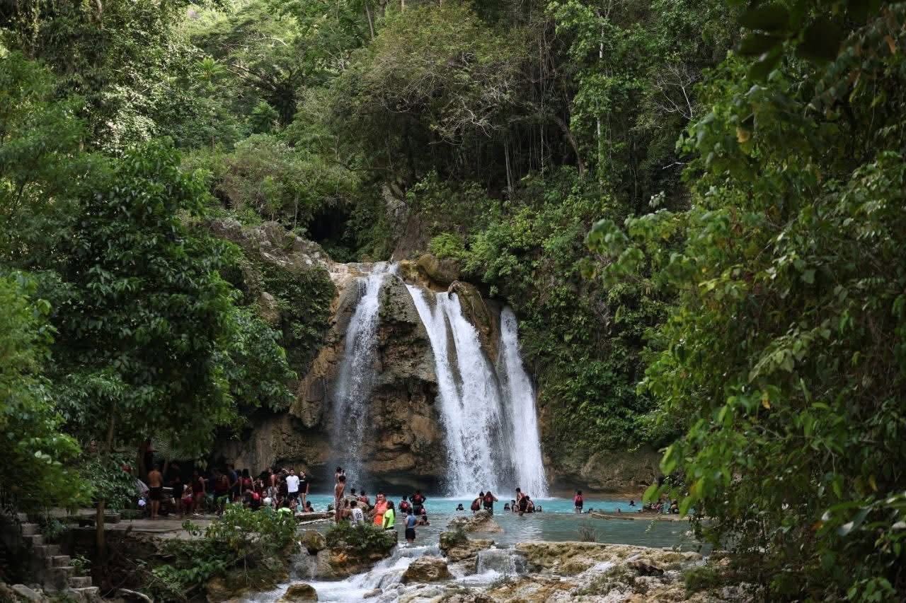Kawasan Falls to install warning signs after cobra sighting reports