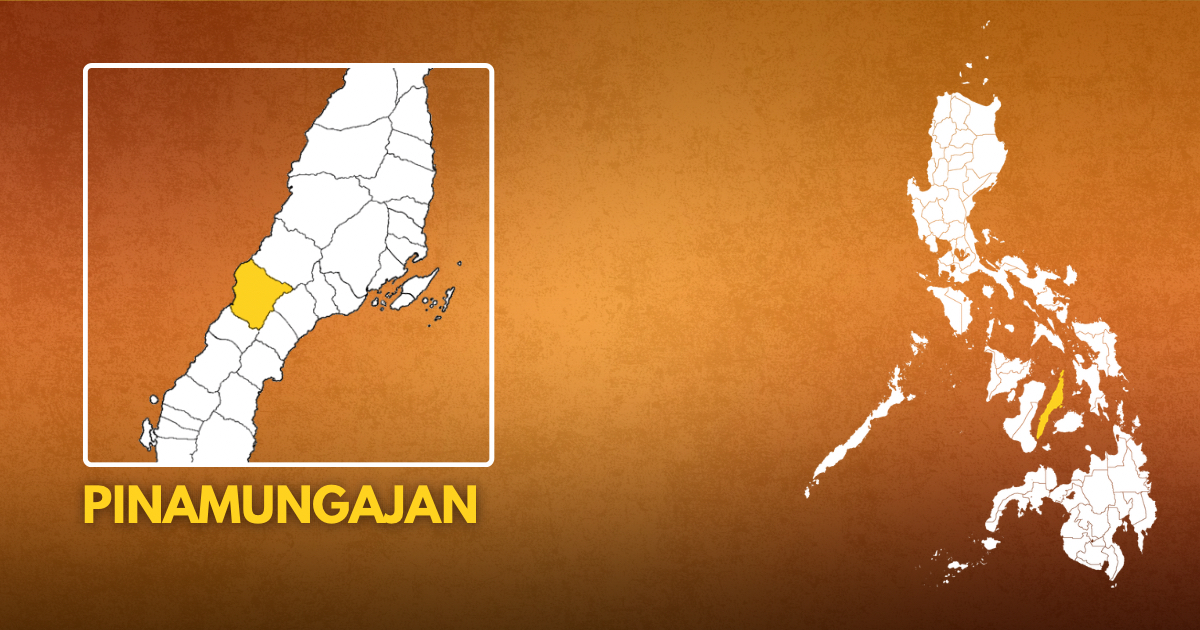 Theft Suspect Nabbed After School Chase in Pinamungajan