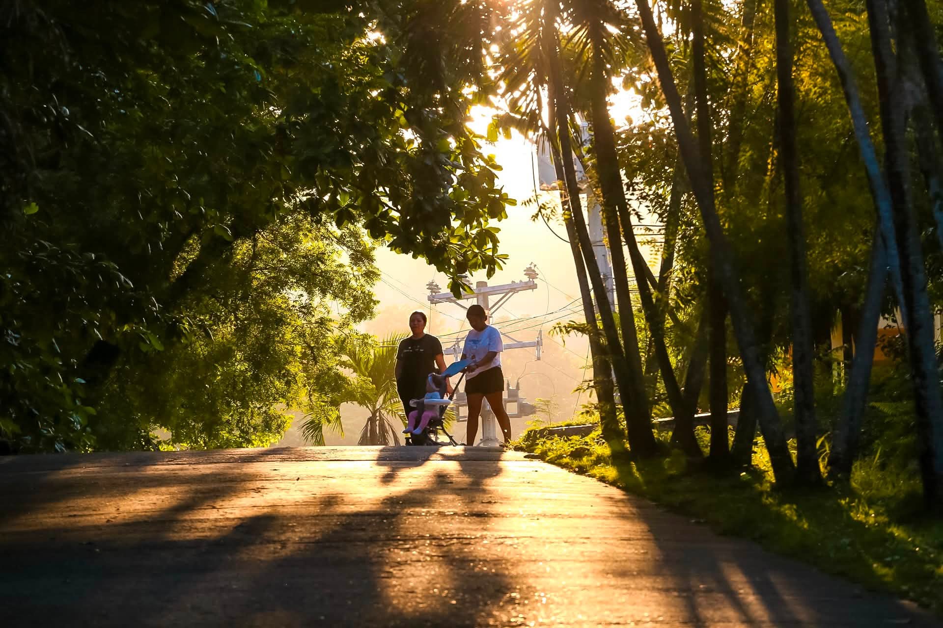 Urban Oasis in the Heart of Cebu: D’ Family Park Remains a Haven for Nature and Recreation