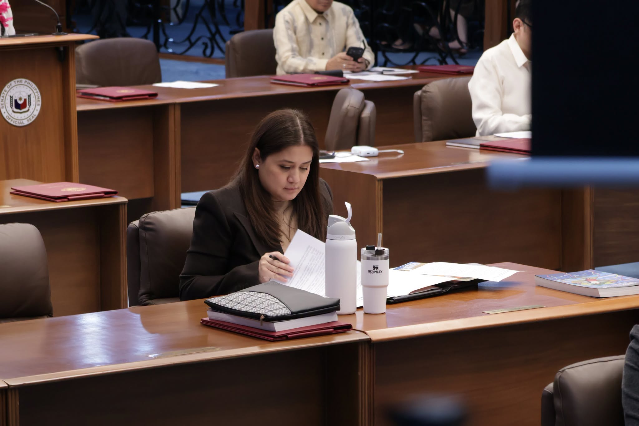 Sen. Camille backs resolution honoring Rene Baterbonia
