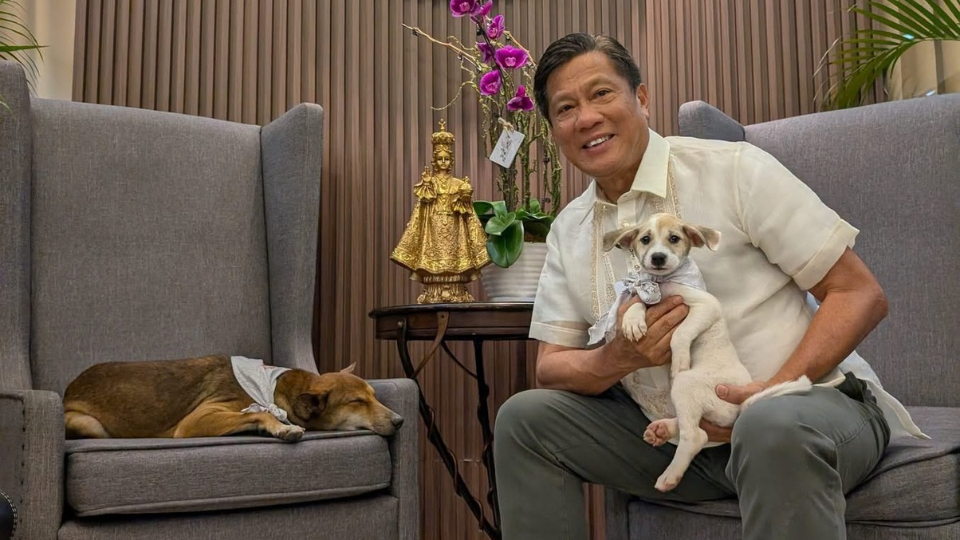 170 rescued pets adopted in Cebu City so far in 2026