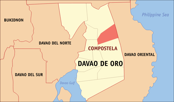 Rape case filed vs barangay chair in Davao de Oro