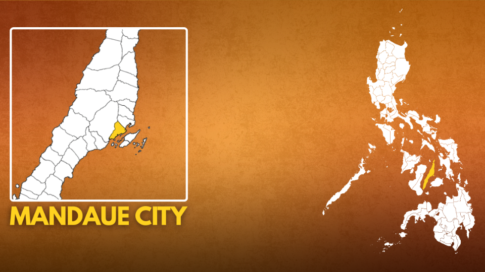 Mandaue Agri-Eco Park plan includes cutting of 19 trees