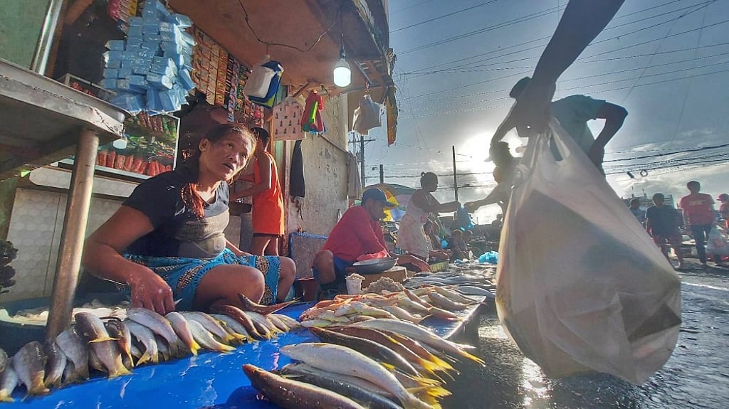 Cebu forms Magwayen task force to track fish prices, supply