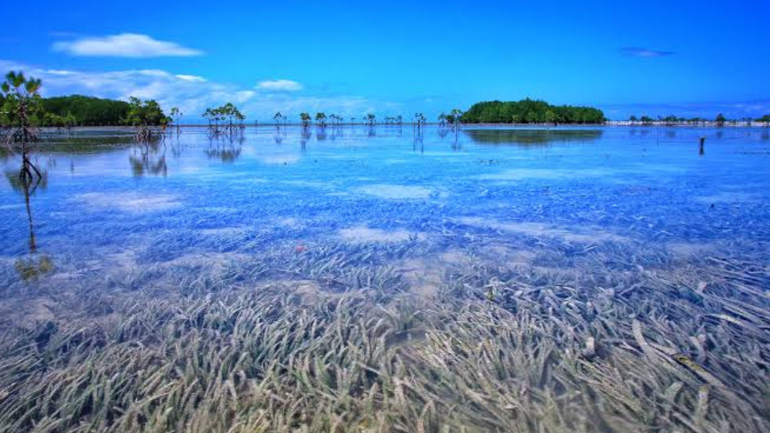 Lapu-Lapu to map natural resources under biodiversity program