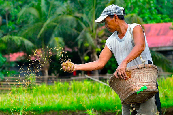 P3B fuel subsidy set for farmers, fisherfolk, agri truckers