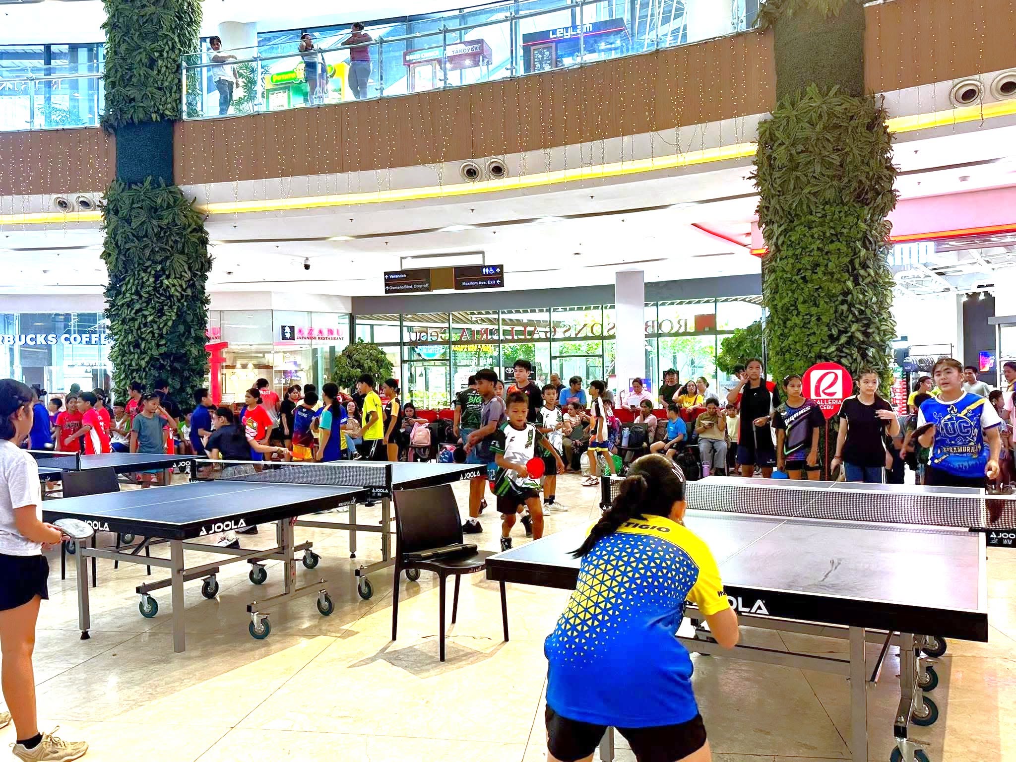 Cebu approves P51.6M supplemental budget for sports meet, learning shelters