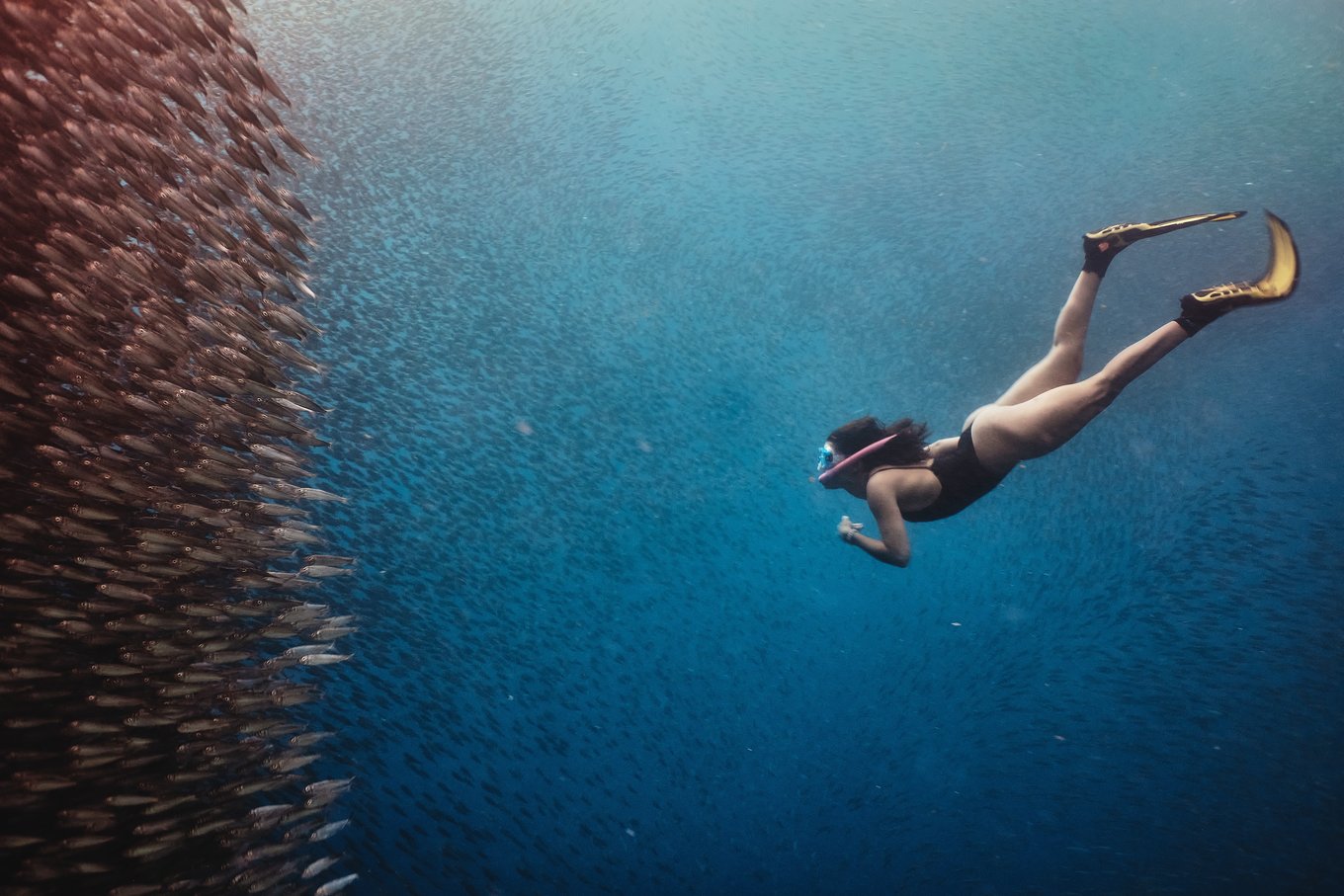 PH secures eighth consecutive Asia dive destination title
