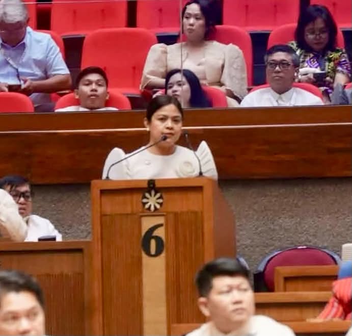 Garcia abstains from 2027 budget vote over 88.5% cut in Cebu’s 3rd District allocation