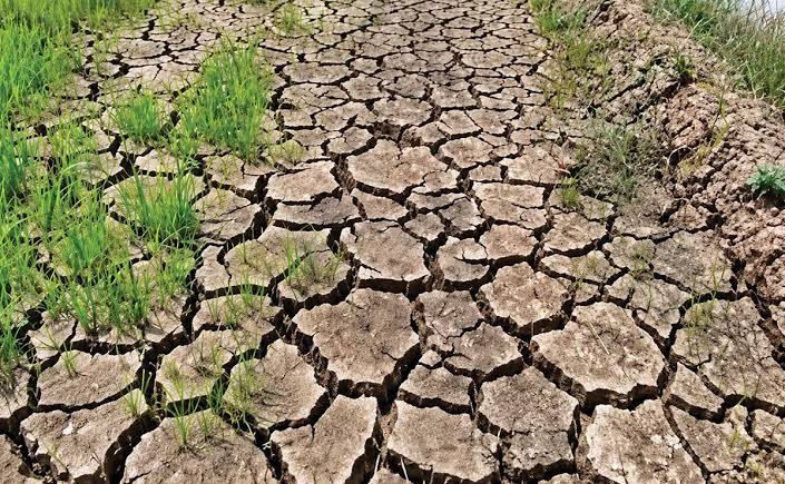 DSWD 7 urges staff to prepare for El Niño, strengthen social welfare services