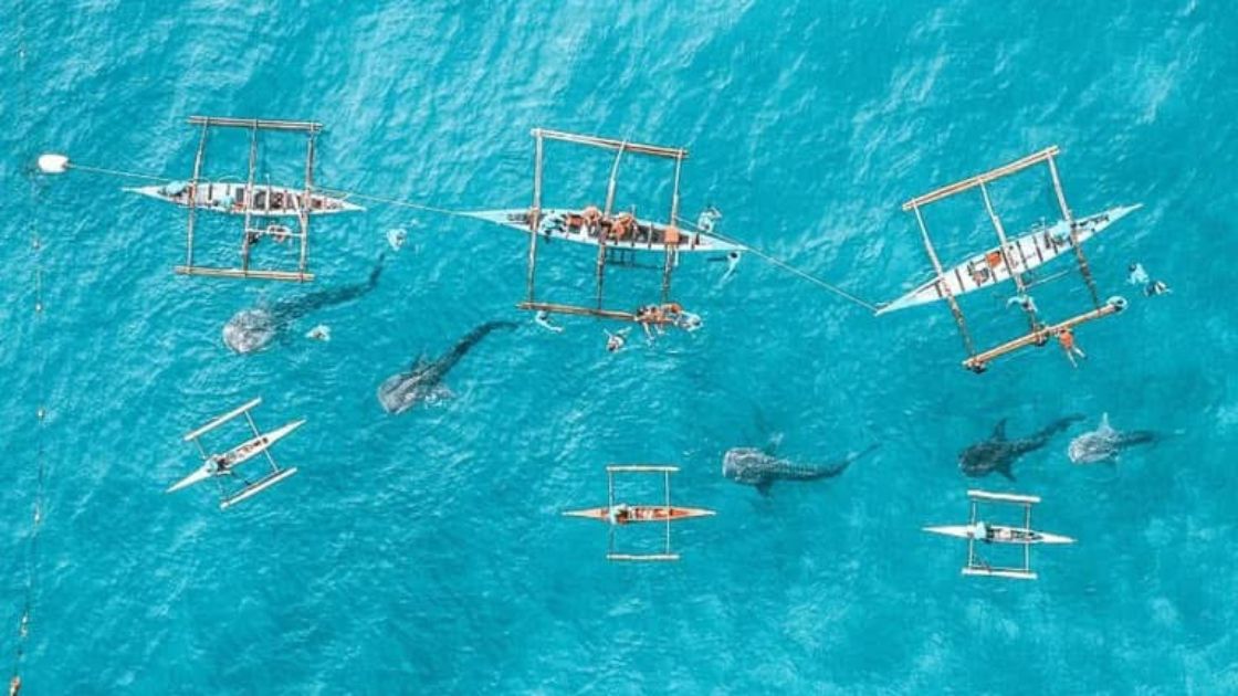 Foreign visitors drive Cebu tourism growth as arrivals hit 1.14 million
